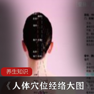 养生小知识《人体穴位经络大图》